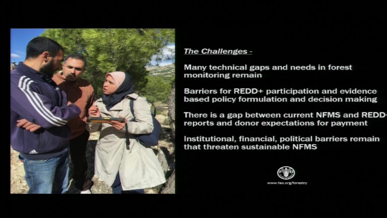 New paper helps countries design forest monitoring systems for REDD+: A…