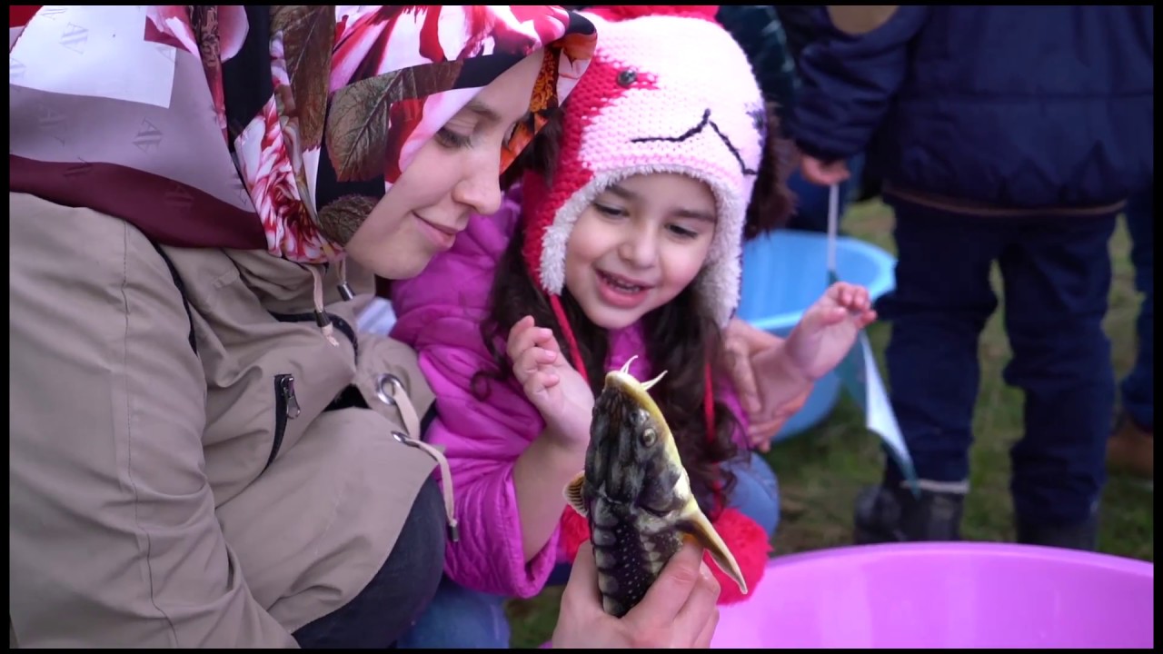 Not closed, not black but a living sea