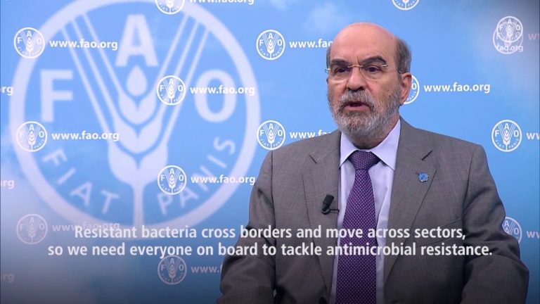 FAO Director-General video message on steps in tackling antimicrobial r…