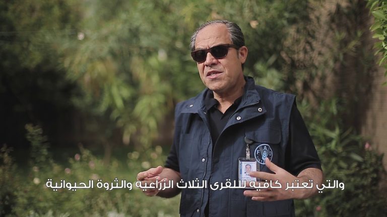 FAO Innovative Approach to Resolve Land and Water Conflict in Yemen.