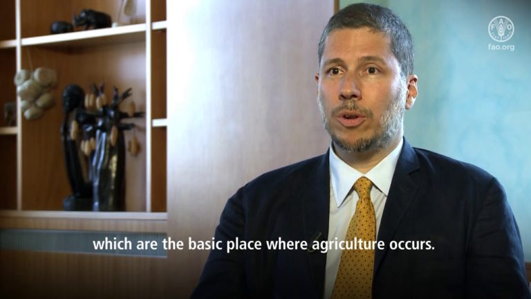 Mario Arvelo explains the importance of forests to the SDGs.