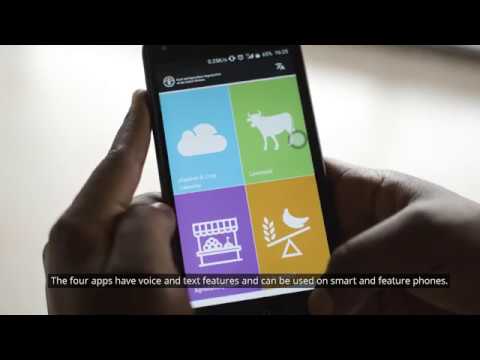 Unleashing the potential of Africa’s youth through innovation in agricu…