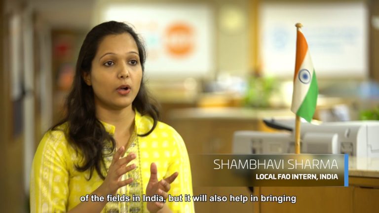 FAO Global Internship, Volunteers and Fellows Programme and SO3 Reduce …