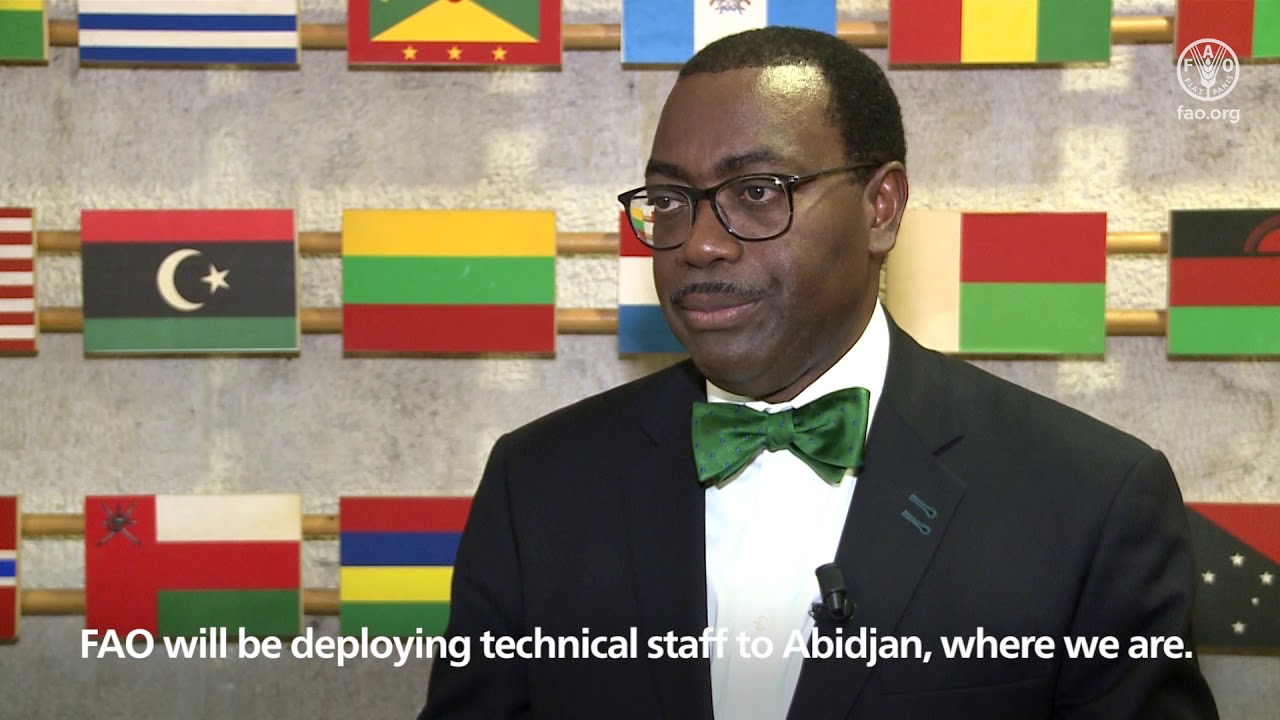 Remarks by the African Development Bank President Akinwumi Adesina