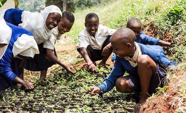 Up to 400 million. 

That’s the number of people who by 2020…