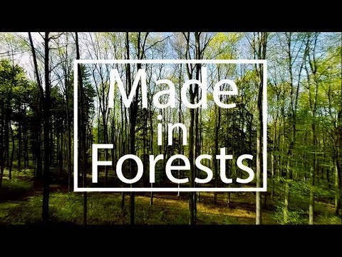 “Made in Forests”  –  a short story about sustainable fashion with Mich…