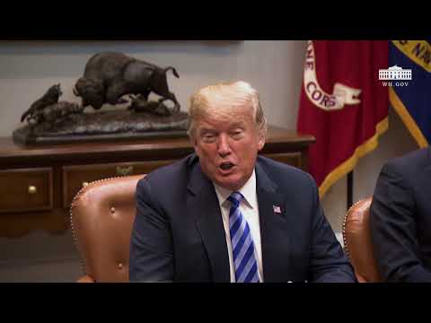President Trump Meets with Republican Congressional Leadership