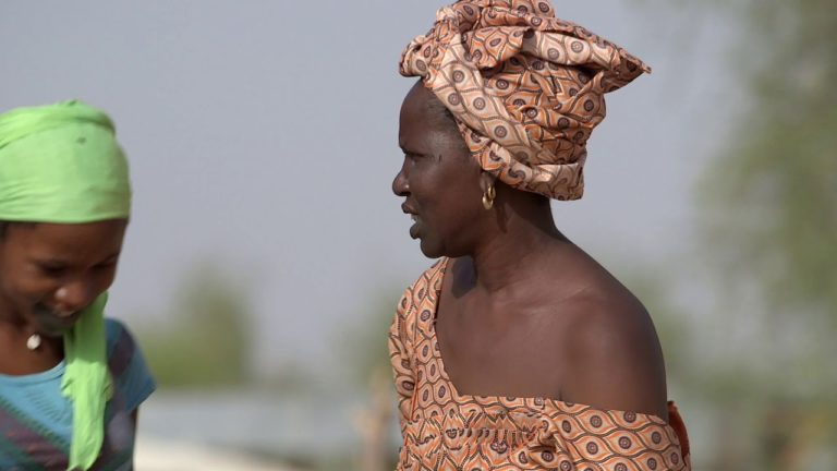 Un million de citernes pour le Sahel