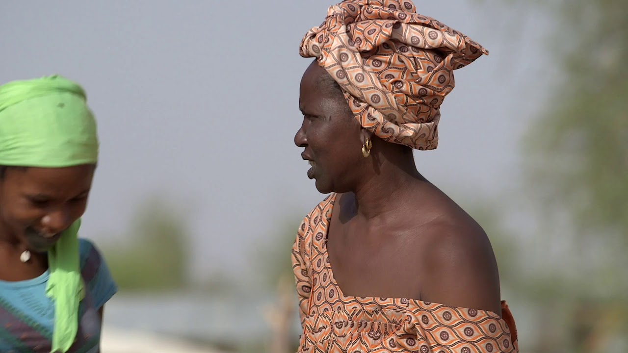 Un million de citernes pour le Sahel