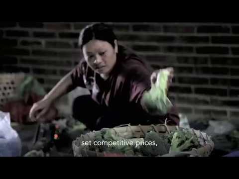 Southeast Asian Perspectives: Indonesia