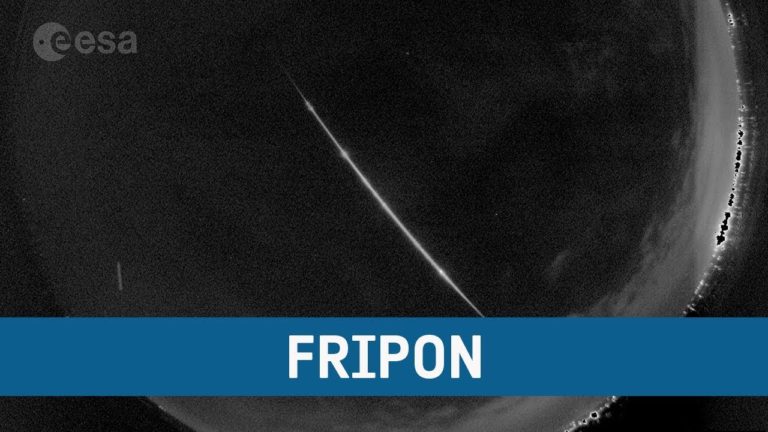 FRIPON network: watching the skies