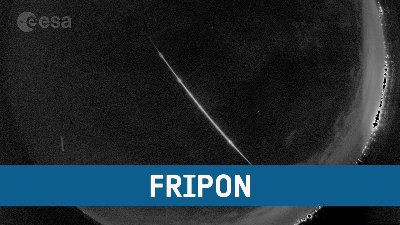 FRIPON network: watching the skies