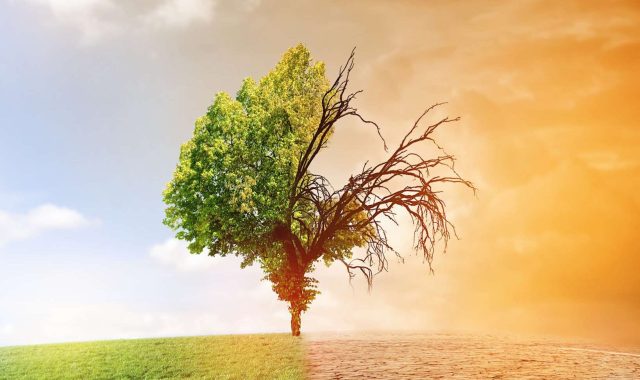 Countdown Starts To Climate Change Catastrophe