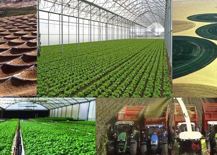 Indian Government’s Subsidy Approval For Merchant Exporters – How Much? Who’s Benefiting?