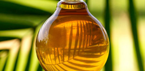 India’s Tax Cut Decision On Palm Oil Imports – Which Country Will Gain Most?