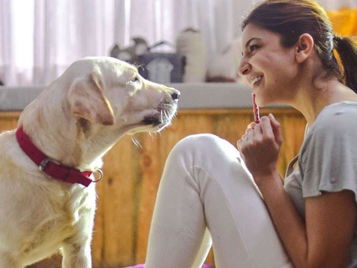 Anushka Sharma can finally Cherish Her Dreams