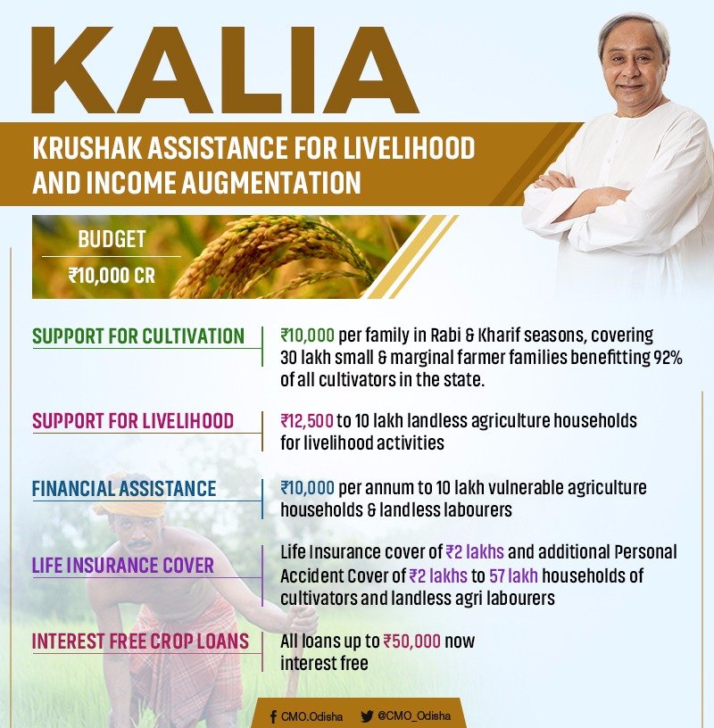 Kalia scheme- A double bonus for Odisha farmers