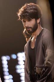 Shahid Kapoor to ber a part of yet another High Budget Film???