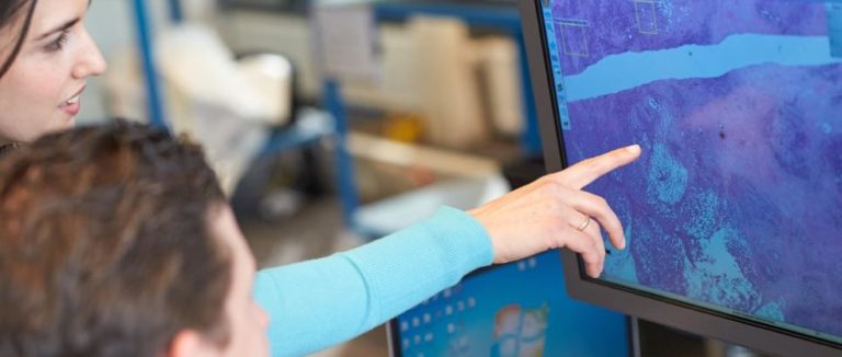 How Korea and India Plan To Build Startup Cooperation?  – Why It Matters?