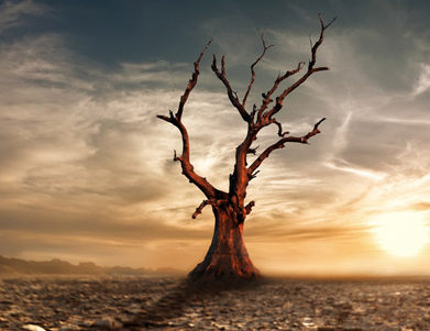 Is Political Will To Fight Climate Change Fading? – UN Chief Says Yes