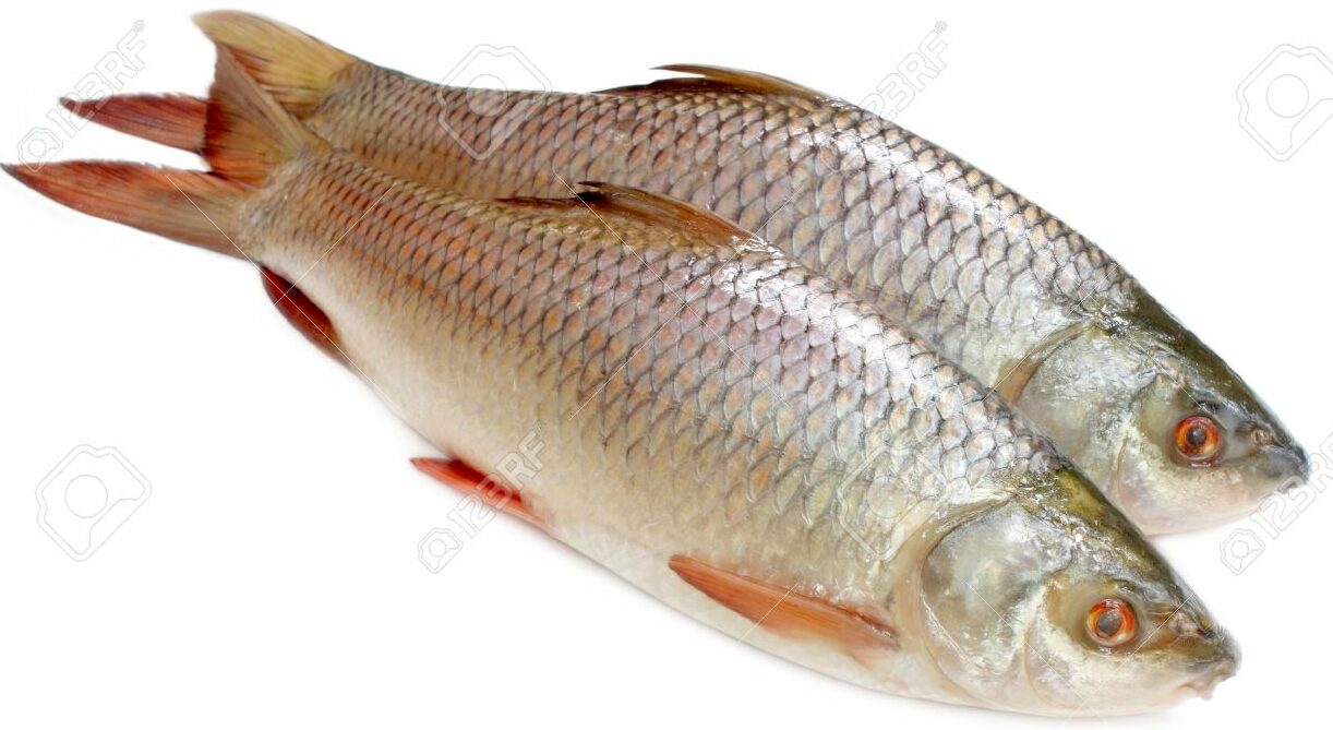India’s Marine Exports To China Are Expected To Cross Bn By Year-End
