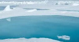 Sweden, India Agree To Enhance Cooperation In Polar Science – Learn More