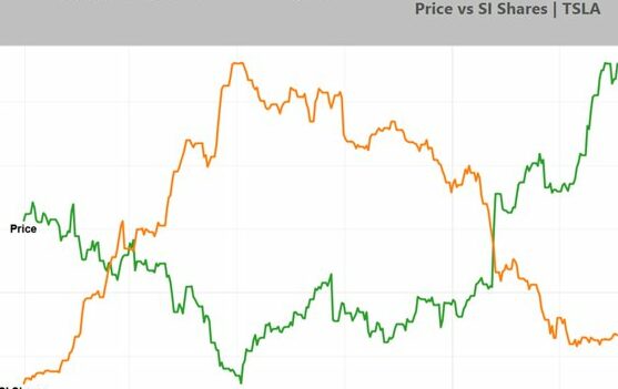 Want To Know How Much Money Tesla Short-sellers Have Lost In 2019? - Get The Info Here